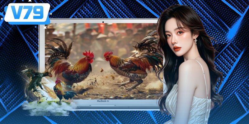 Các hình thức cá cược đá gà được săn đón nhất Các hình thức cá cược đá gà được săn đón nhất